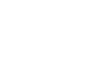 Full View logo